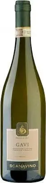 Gavi